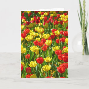 Sea of Tulips Card