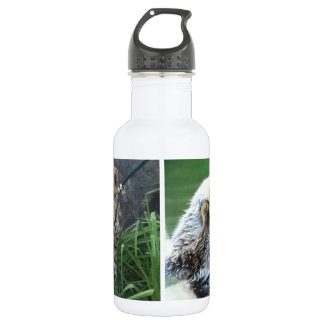 Sea otter and cheetah cub 532 ml water bottle