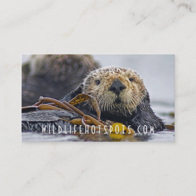 Sea Otter Business Card (Front)