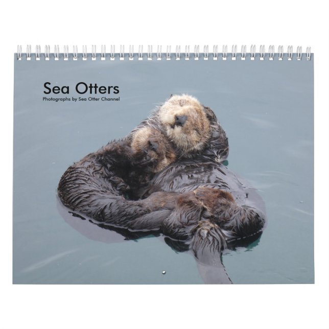 Sea Otter Channel Calendar #4 (Cover)