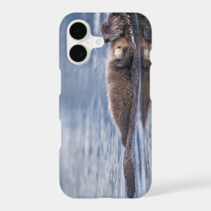 sea otter, Enhydra lutris lutris