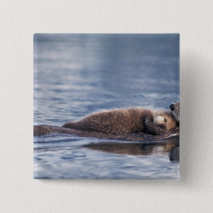 sea otter, Enhydra lutris lutris 15 Cm Square Badge