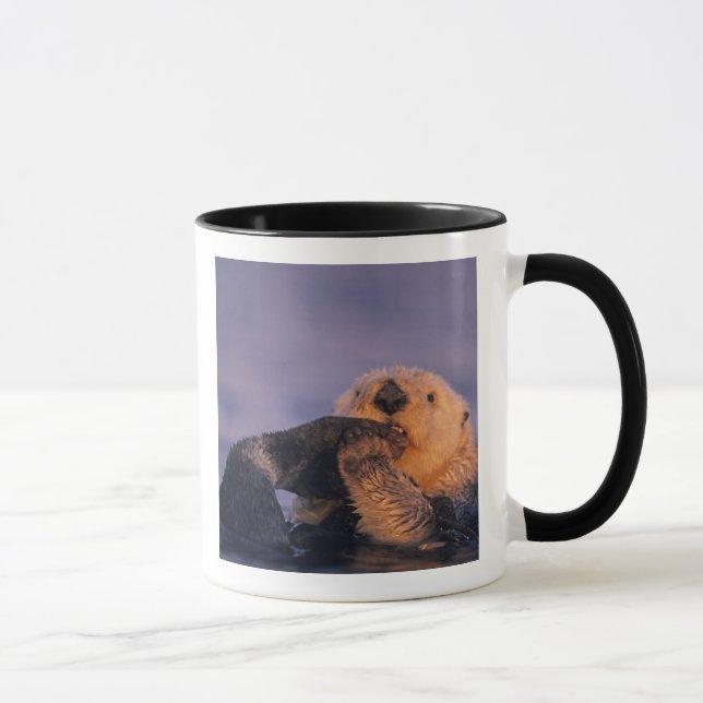 Sea Otter, Enhydra lutris Mug (Right)