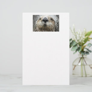 Sea Otter Face Photo Stationery Paper