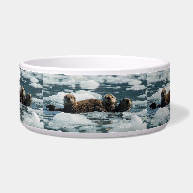 Sea Otter Family (Front)