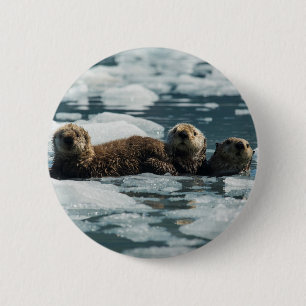 Sea Otter Family 6 Cm Round Badge