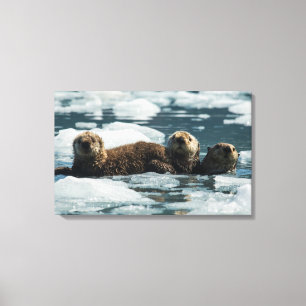 Sea Otter Family Canvas Print