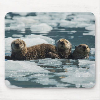 Sea Otter Family Mouse Pad