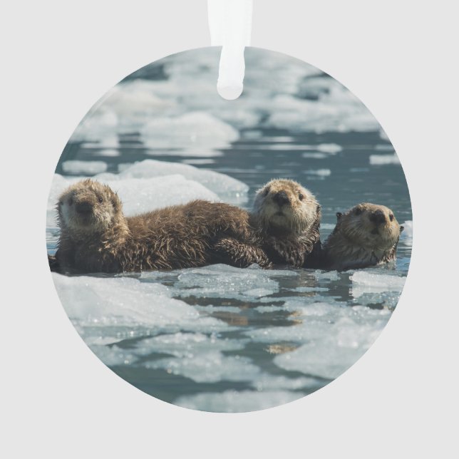 Sea Otter Family Ornament (Back)