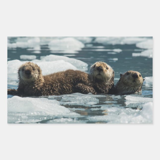 Sea Otter Family Rectangular Sticker (Front)