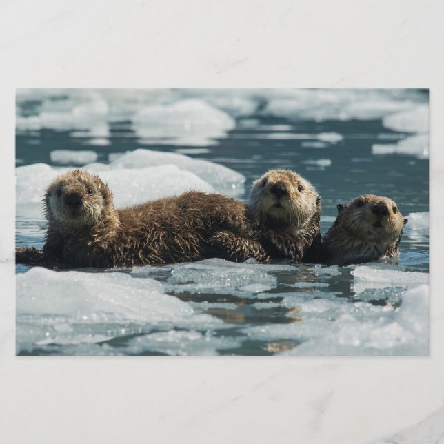 Sea Otter Family Stationery (Front)