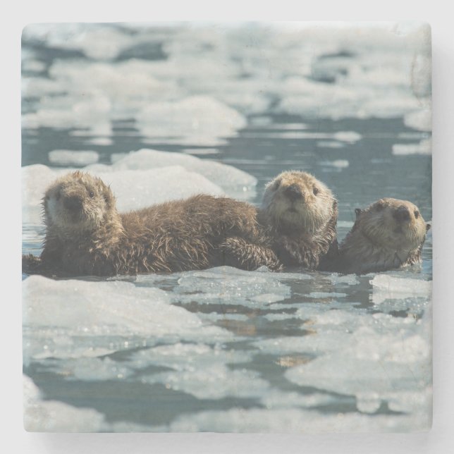 Sea Otter Family Stone Coaster (Front)