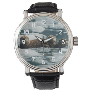 Sea Otter Family Watch