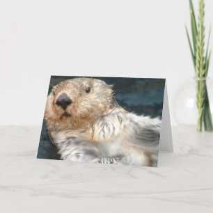 Sea Otter Greeting Card