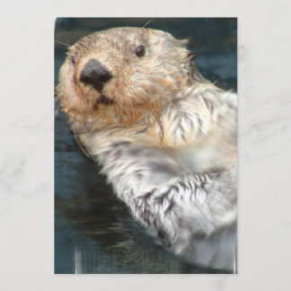 Sea Otter Invitation