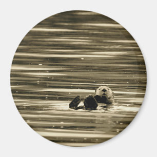 Sea Otter Magnet