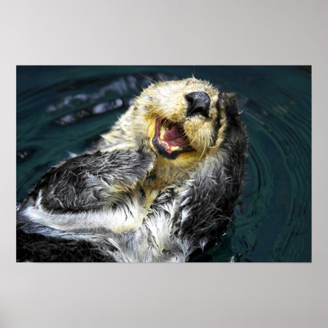 Sea Otter Poster (Front)