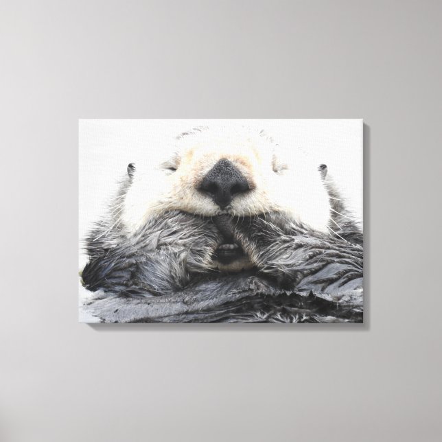Sea Otter Sleeping Canvas Print (Front)