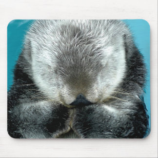 Sea Otter Snoozing Mouse Pad