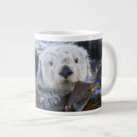 Sea otter wrapped in kelp