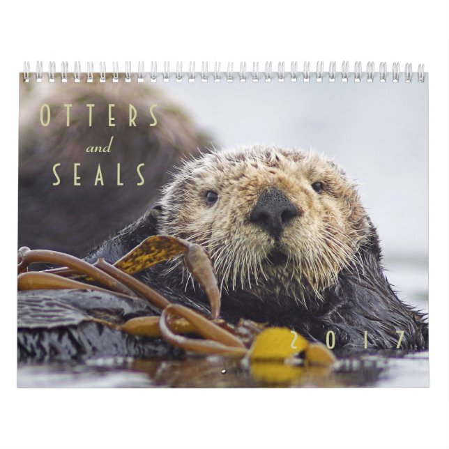 Sea Otters and Seals 2017 Wall Calendar - Wildlife (Cover)