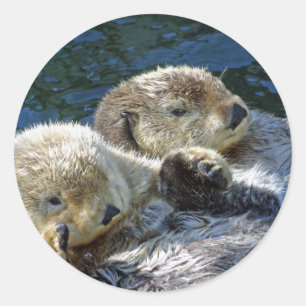 Sea-Otters Classic Round Sticker