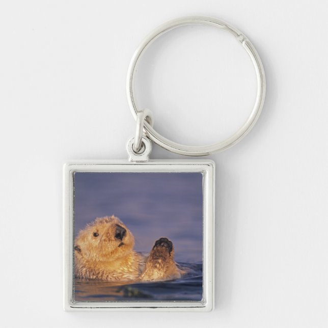 Sea Otters, Enhydra lutris 2 Key Ring (Front)