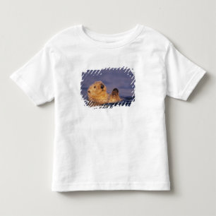 Sea Otters, Enhydra lutris 2 Toddler T-Shirt