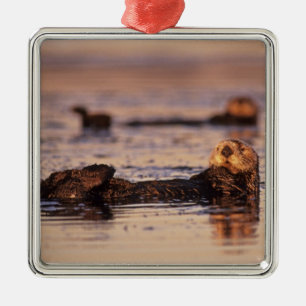 Sea Otters, Enhydra lutris 3 Metal Tree Decoration