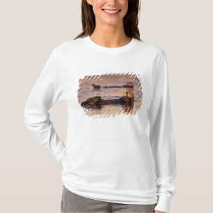 Sea Otters, Enhydra lutris 3 T-Shirt