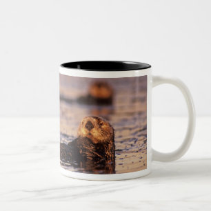 Sea Otters, Enhydra lutris 3 Two-Tone Coffee Mug