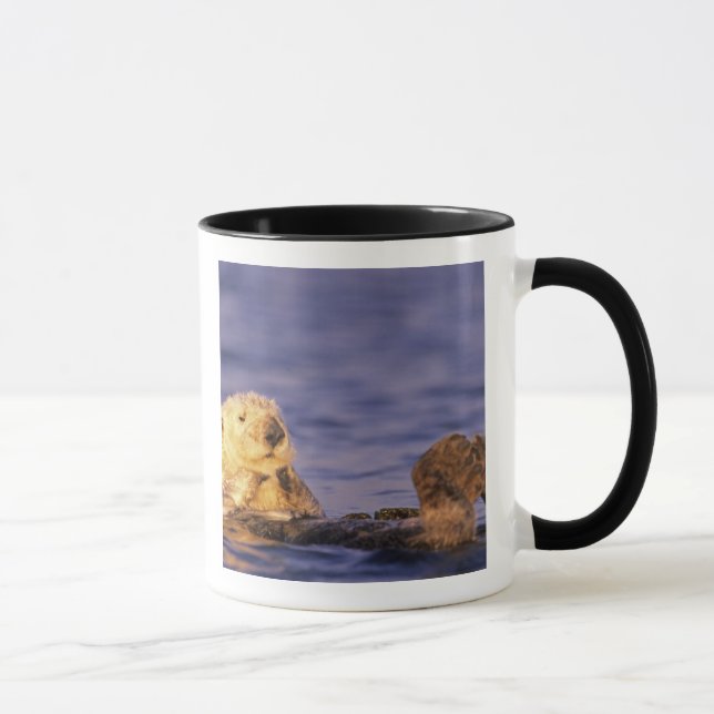 Sea Otters, Enhydra lutris 4 Mug (Right)
