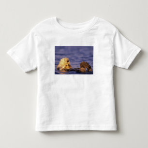 Sea Otters, Enhydra lutris 4 Toddler T-Shirt