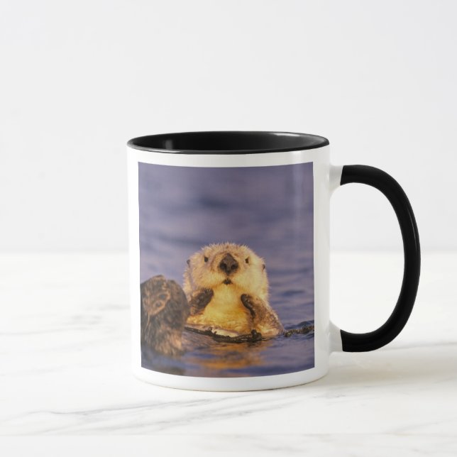 Sea Otters, Enhydra lutris 5 Mug (Right)
