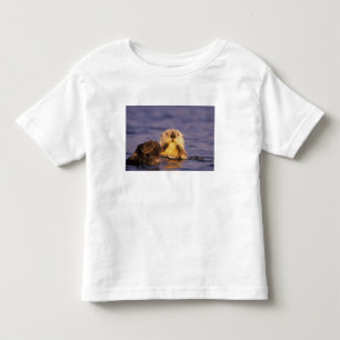 Sea Otters, Enhydra lutris 5 Toddler T-Shirt