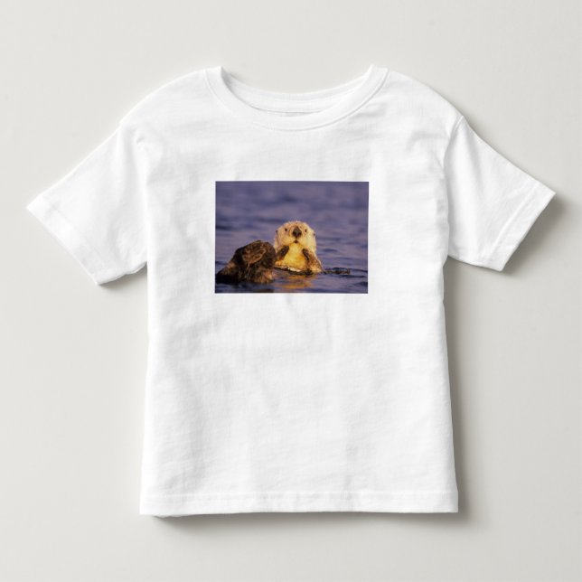 Sea Otters, Enhydra lutris 5 Toddler T-Shirt (Front)