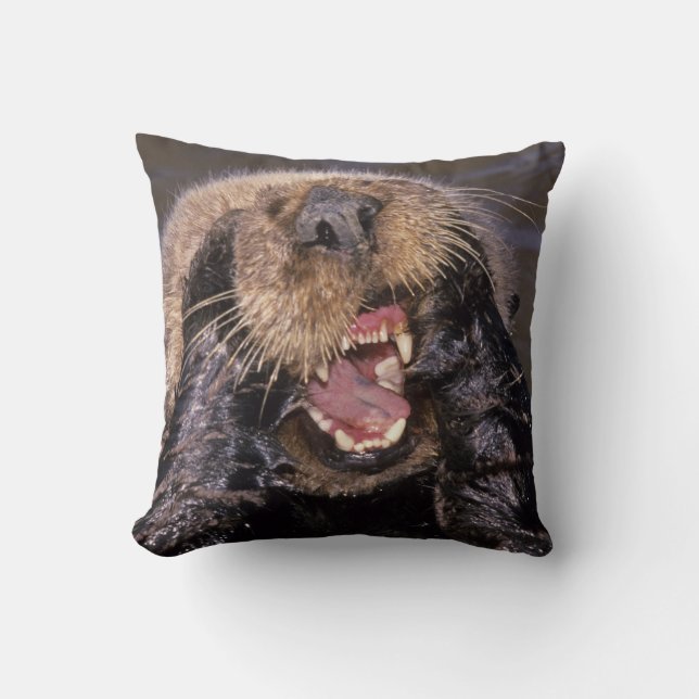 Sea Otters, Enhydra lutris 6 Cushion (Front)