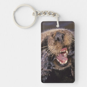 Sea Otters, Enhydra lutris 6 Key Ring