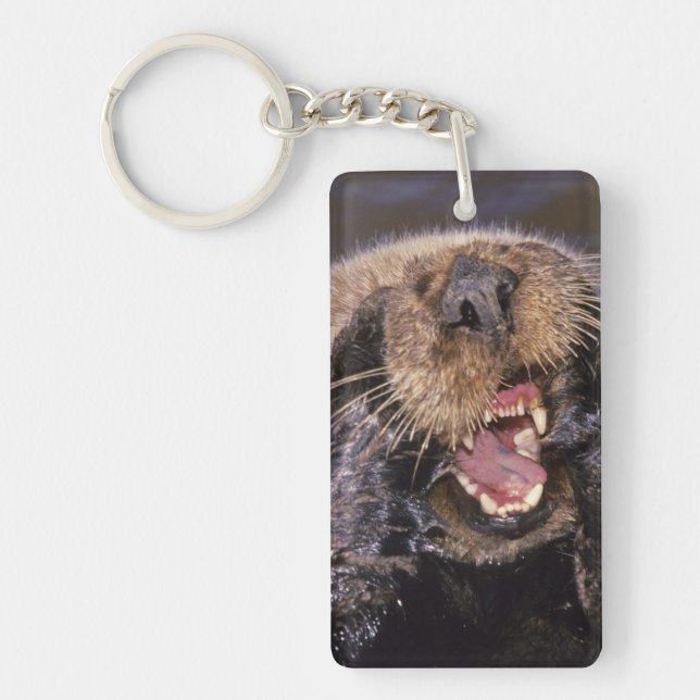 Sea Otters, Enhydra lutris 6 Key Ring (Front)