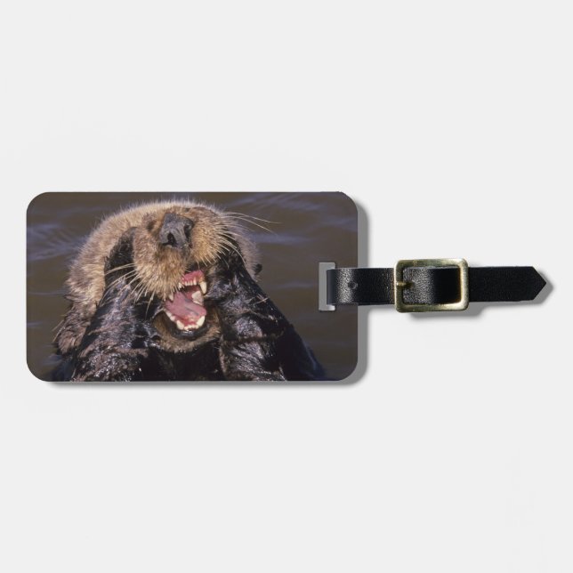 Sea Otters, Enhydra lutris 6 Luggage Tag (Front Horizontal)
