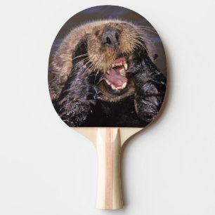Sea Otters, Enhydra lutris 6 Ping Pong Paddle