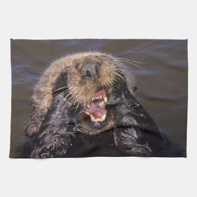 Sea Otters, Enhydra lutris 6 Tea Towel (Horizontal)