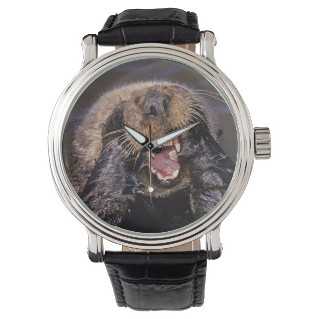 Sea Otters, Enhydra lutris 6 Watch (Front)