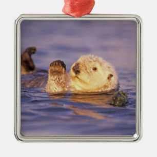 Sea Otters, Enhydra lutris Metal Tree Decoration