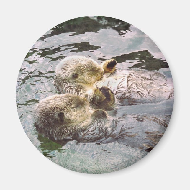 Sea Otters Holding Hands Magnet (Front)