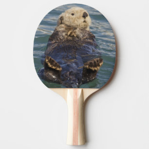 Sea otters play on icebergs at Surprise Inlet Ping Pong Paddle
