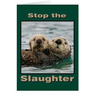 Sea Otters - Stop the Slaughter