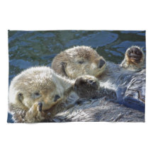 Sea-otters