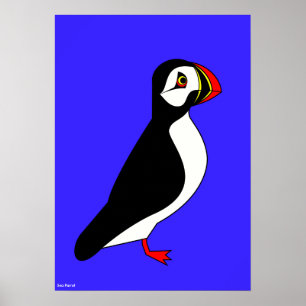 Sea parrot poster