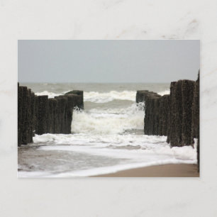 Sea Postcard